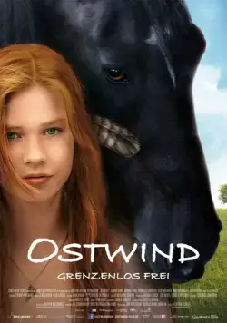 Постер: Восточный ветер / Ostwind (2013)