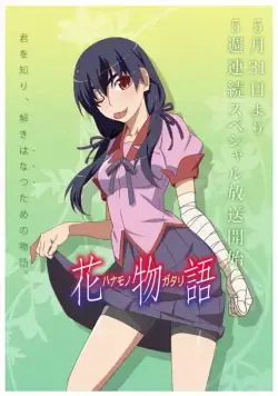 Постер: История цветов / Hanamonogatari (2014)