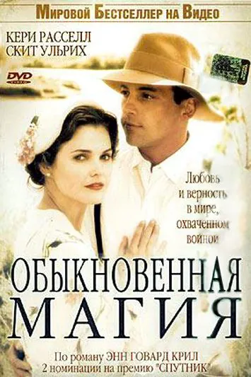 Постер: Обыкновенная магия / The Magic of Ordinary Days (2005)