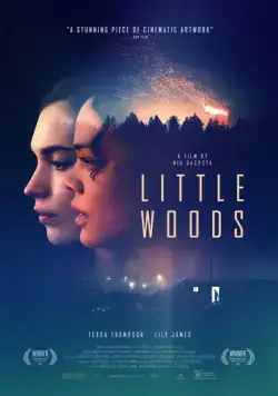 Постер: Лесок / Little.Woods (2018)