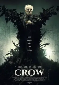 Постер: Ворон / Crow (2016)