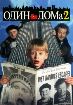 Постер: Один дома 2: Затерянный в Нью-Йорке (1992)