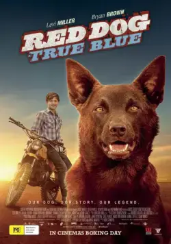 Постер: Рыжий пес: Самый верный / Red Dog: True Blue (2016)