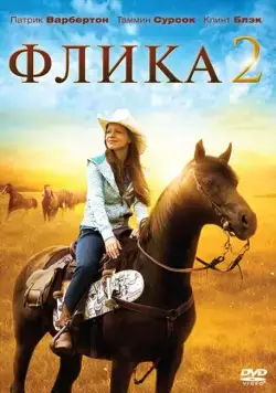 Постер: Флика 2 (2010)