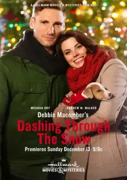 Постер: Поездка в Сиэтл / Debbie Macomber's Dashing Through the Snow (2015)