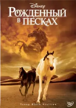 Постер: Рожденный в песках / Young Black Stallion (2003)