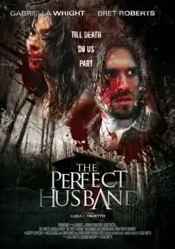 Постер: Идеальный муж / The Perfect Husband (2014)