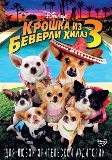 Постер: Крошка из Беверли-Хиллз 3 / Beverly Hills Chihuahua 3: Viva La Fiesta! (2012)