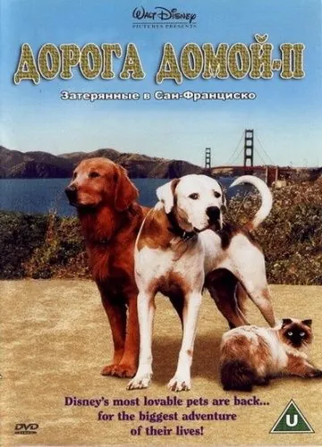 Постер: Дорога домой 2: Затерянные в Сан-Франциско / Homeward Bound II: Lost in San Francisco (1996)
