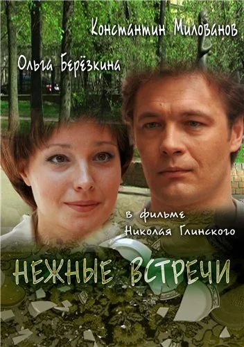 Постер: Нежные встречи (2008)