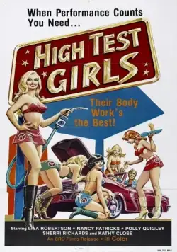 Постер: Шесть шведок с бензоколонки / Sechs Schwedinnen von der Tankstelle (1980)