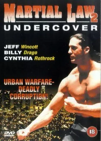Постер: Комендантский час 2 / Martial Law II: Undercover (1991)