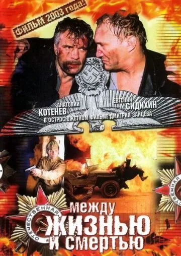 Постер: Между жизнью и смертью (2003)