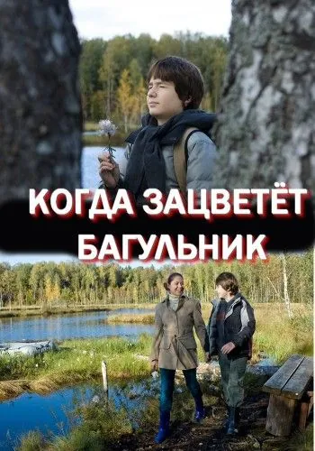 Постер: Когда зацветёт багульник (2010)