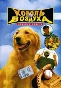 Постер: Король воздуха: Седьмая подача / Air Bud: Seventh Inning Fetch (2002)