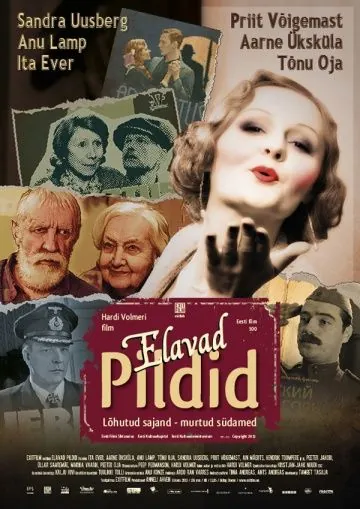 Постер: Живые картинки / Elavad pildid (2013)