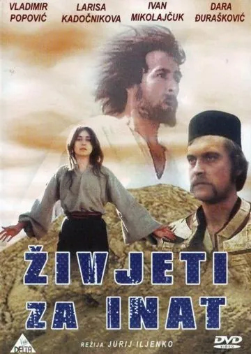 Постер: Наперекор всему (1973)