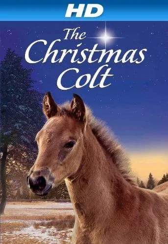 Постер: Рождественский жеребёнок / The Christmas Colt (2013)