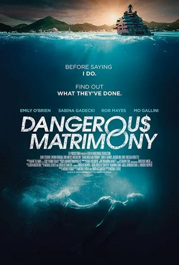 Постер: Опасный брак / Dangerous Matrimony (2018)