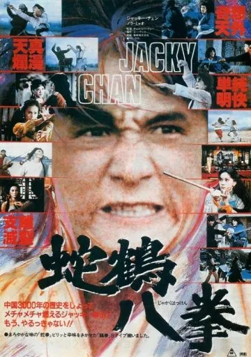 Постер: Искусство Шаолиня - змея и журавль / She he ba bu (1978)