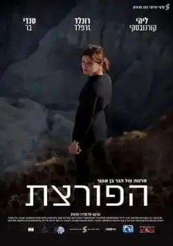 Постер: Взломщица / The Burglar (2016)