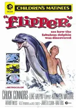 Постер: Флиппер / Flipper (1963)