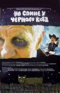Постер: На спине у черного кота (2008)