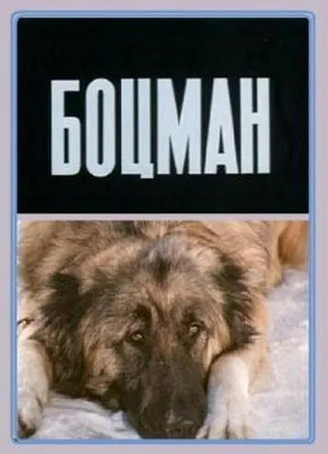 Постер: Боцман (1975)