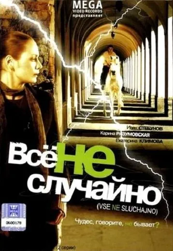 Постер: Все не случайно (2009)