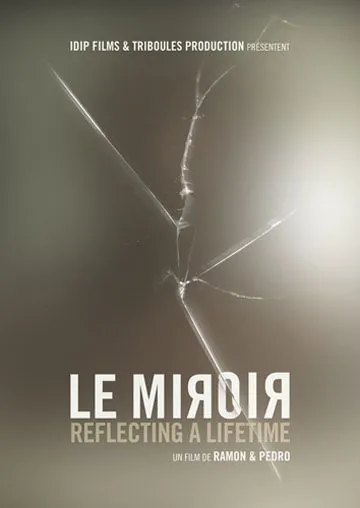 Постер: Зеркало / Le miroir (2010)