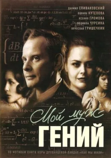 Постер: Мой муж – гений (2008)