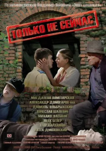 Постер: Только не сейчас (2010)
