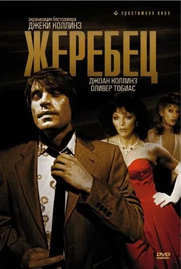 Постер: Жеребец / The Stud (1978)