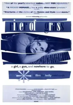 Постер: Болотистая река / River of Grass (1994)