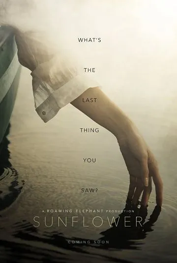 Постер: Исчезновение / Disappearance (2019)