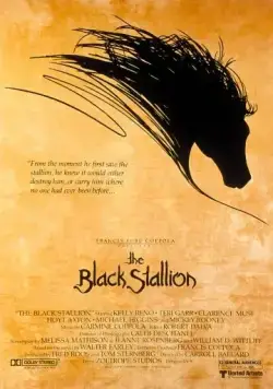 Постер: Черный скакун / The Black Stallion (1979)