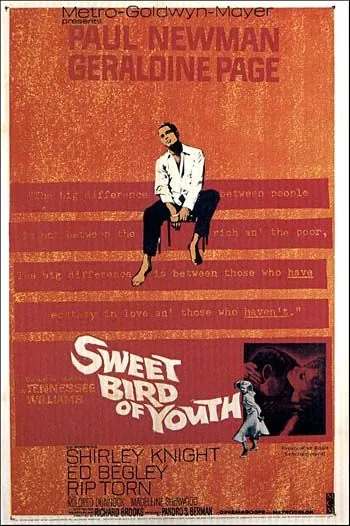 Постер: Сладкоголосая птица юности / Sweet Bird of Youth (1962)