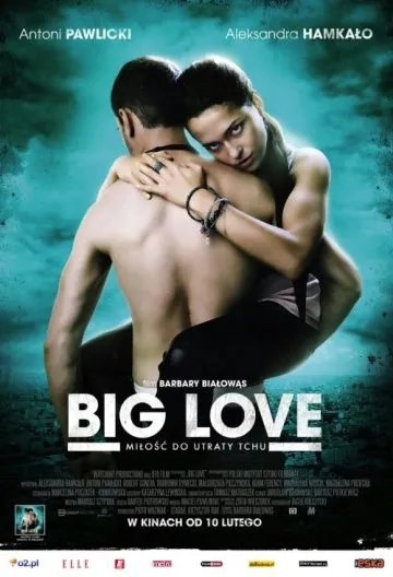 Постер: Большая любовь / Big Love (2012)