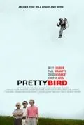 Постер: Пташка / Pretty Bird (2008)