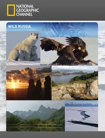 Постер: Дикая природа России / Wildes Russland (2008)