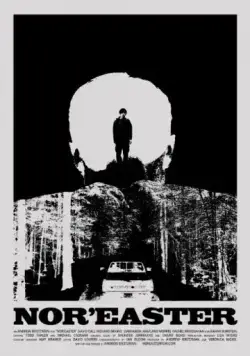 Постер: Норд-истер / Nor'easter (2012)