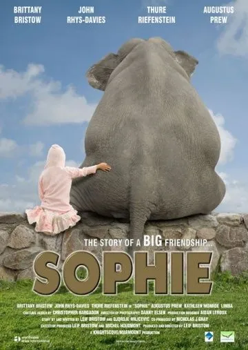 Постер: Софи / Sophie (2010)