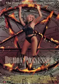 Постер: Во власти демона / Demon Possessed (1993)