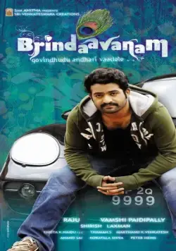 Постер: Процветающий сад / Brindaavanam (2010)