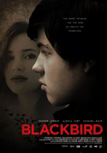 Постер: Чёрный дрозд / Blackbird (2012)