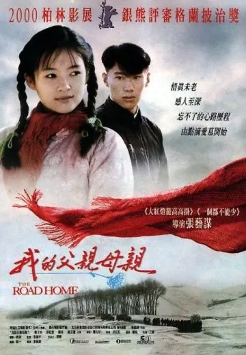 Постер: Дорога домой / The Road Home (1999)