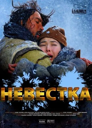 Постер: Невестка (2008)