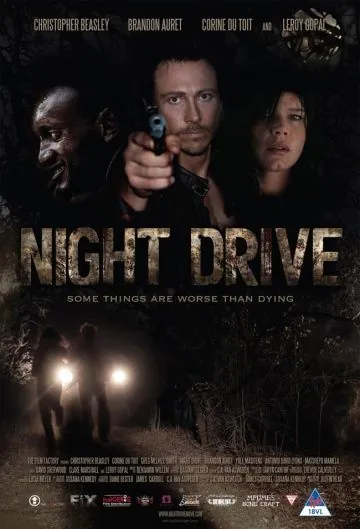 Постер: Ночной драйв / Night Drive (2010)