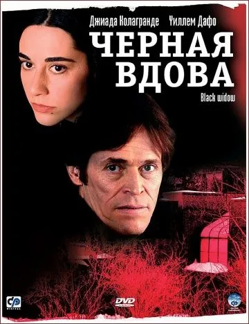 Постер: Черная вдова / Before It Had A Name (2005)