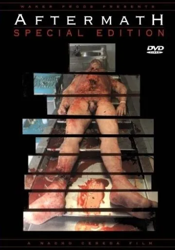 Постер: После смерти / Aftermath (1994)